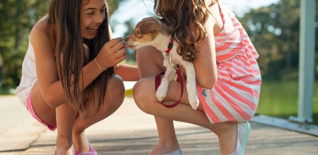 chiot-chien-socialisation