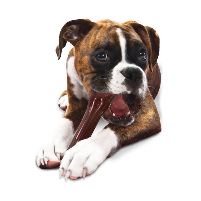 jouets pour chiens indestructible Nylabone DuraChew