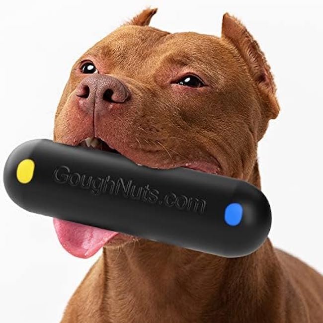 jouets pour chiens indestructible marque Goughnuts MaXX Stick