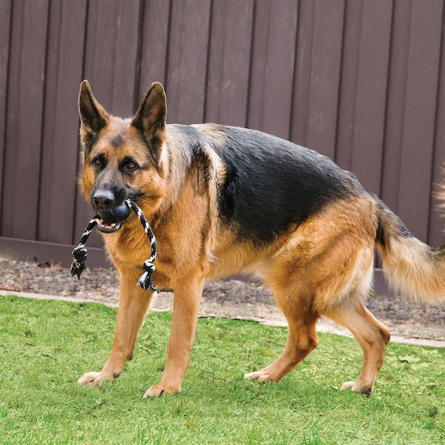 jouet pour chien indestructible kong extreme ball